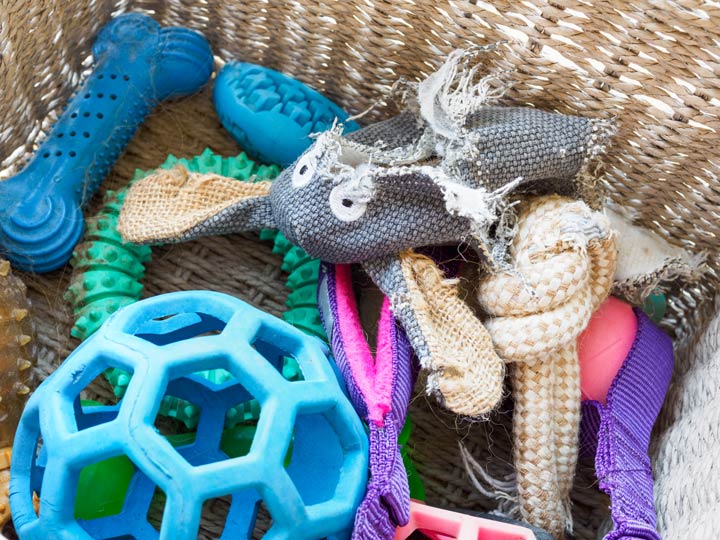 Hundespielzeug Material spielt eine wichtige Rolle