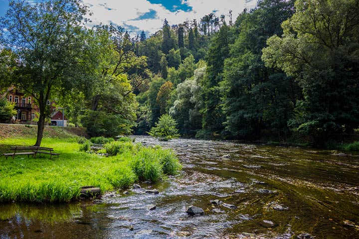 Harz - Urlaub inmitten malerischer Natur