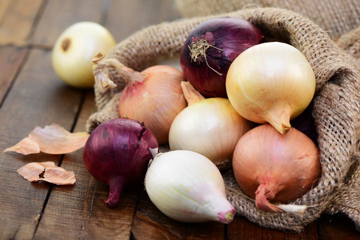 Die Zwiebel wirkt antibakteriell und entzündungshemmend