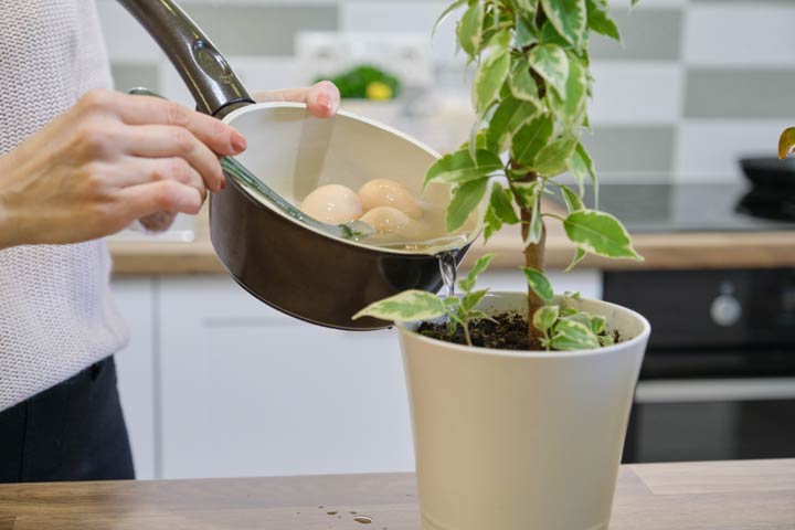 Wasser vom Eierkochen