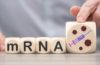 mRNA Impfstoffe