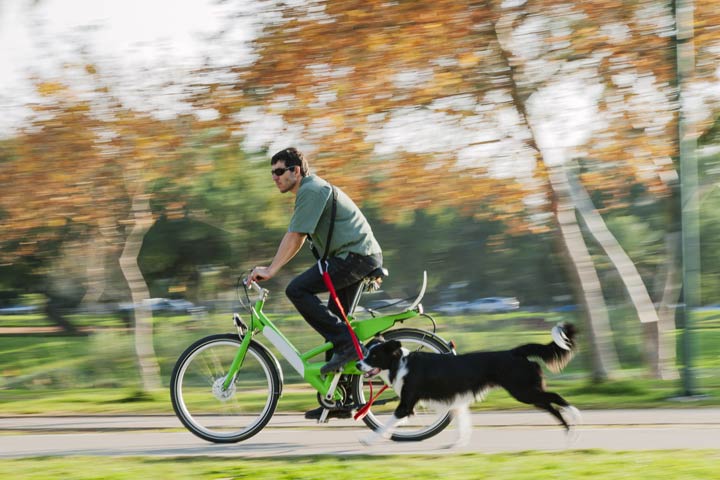 Radfahren mit Hund