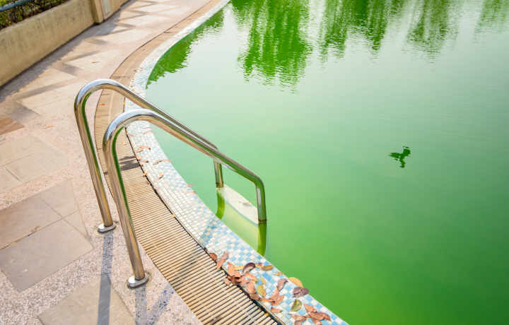 Poolwasser grün