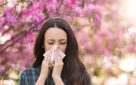 Klimawandel begünstigt die Entstehung von Allergien