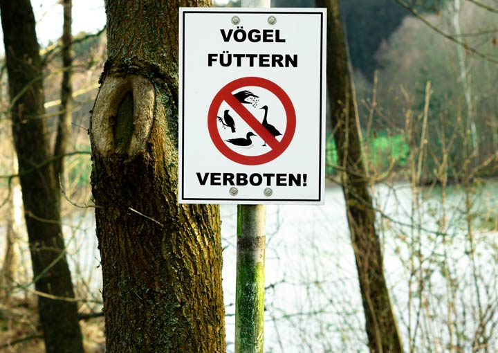 Schild füttern verboten