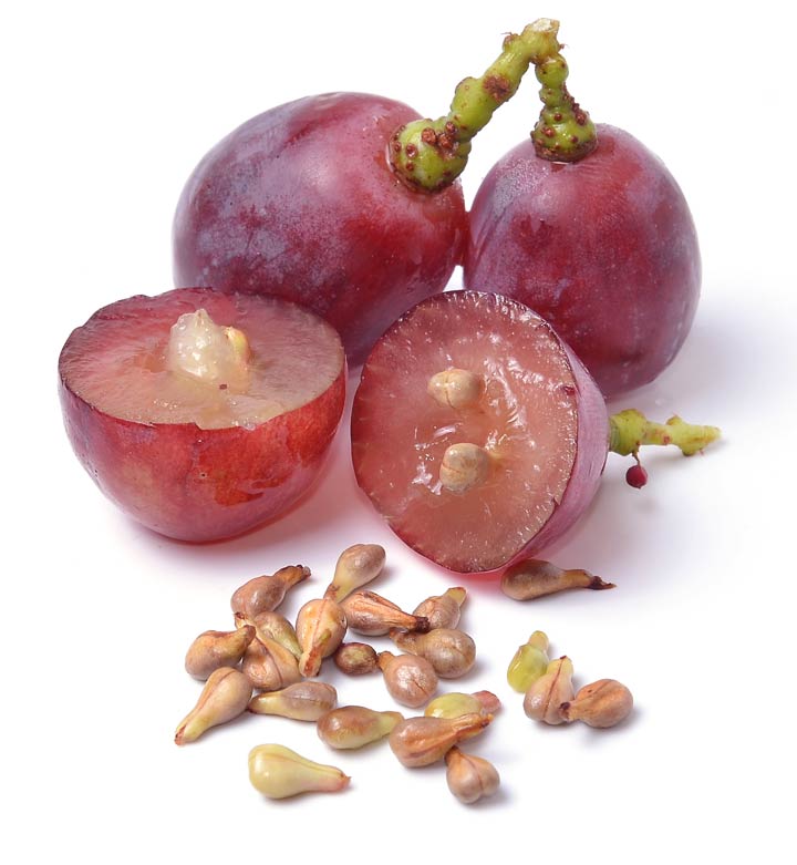 Kerne in Weintrauben