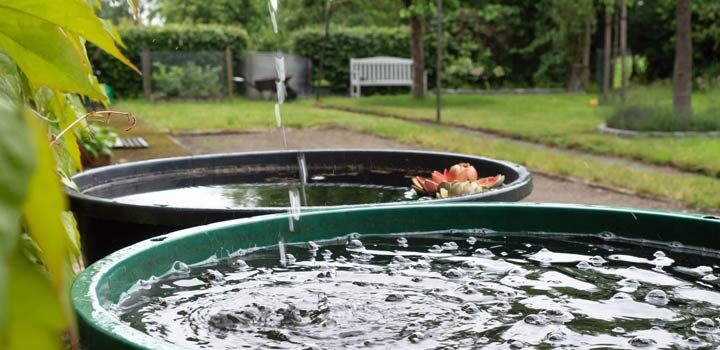 Regenwasser für den Garten sammeln