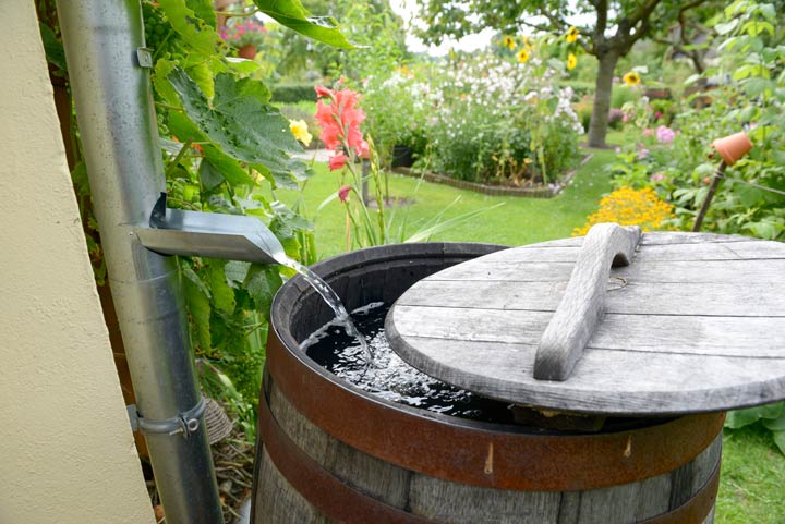 Wasser im Garten sammeln