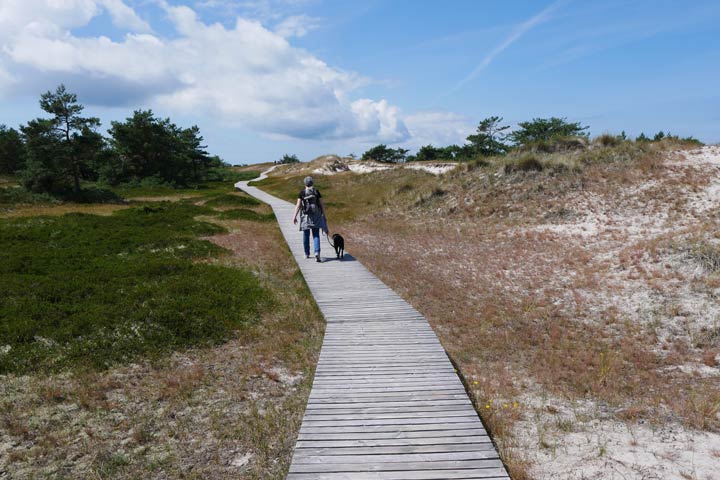 Sternenwanderung auf dem Darß