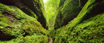 Drachenschlucht bei Eisenach