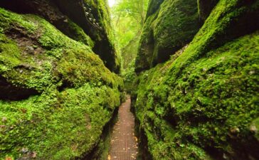 Drachenschlucht bei Eisenach