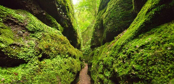 Drachenschlucht bei Eisenach