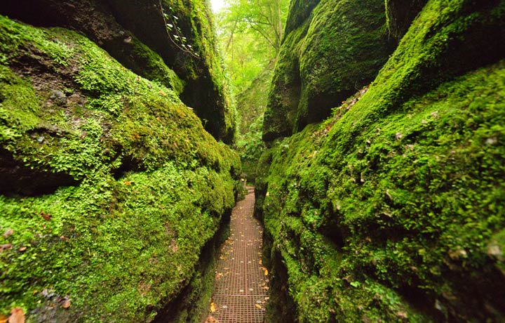 Drachenschlucht bei Eisenach