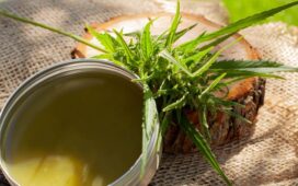 Hanfsalben und ihre Inhaltsstoffe