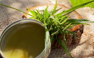 Hanfsalben und ihre Inhaltsstoffe