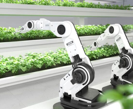 Technologische Entwicklungen, die unser Leben verändern