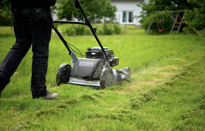 Der richtige Zeitpunkt zum Rasenmähen