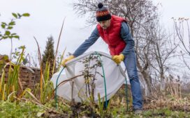 Winterschutz für Pflanzen