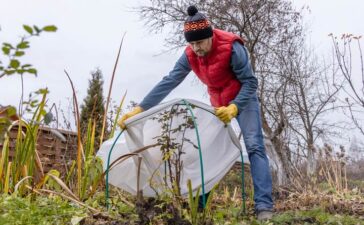 Winterschutz für Pflanzen