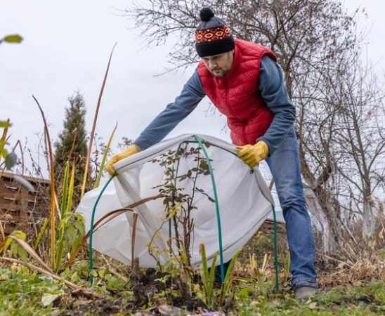 Winterschutz für Pflanzen
