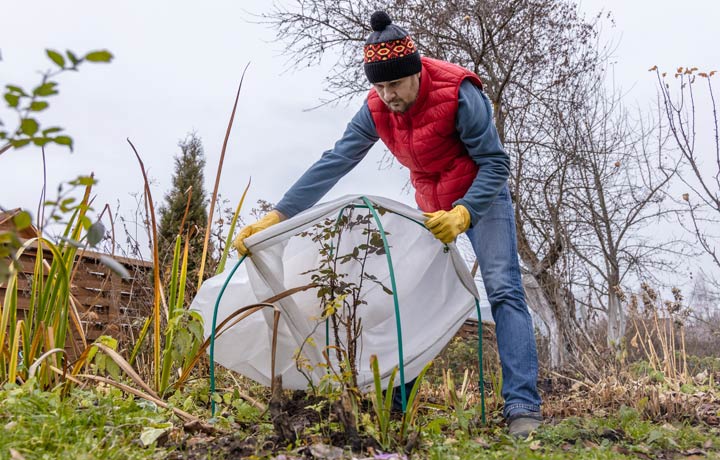 Winterschutz für Pflanzen