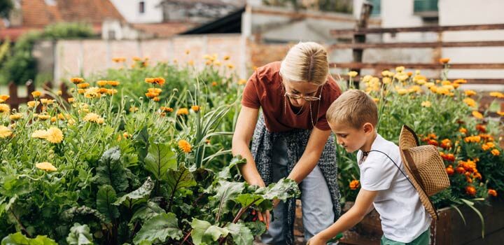 Freude am Gärtnern bei Kindern wecken mit Kinderbeeten