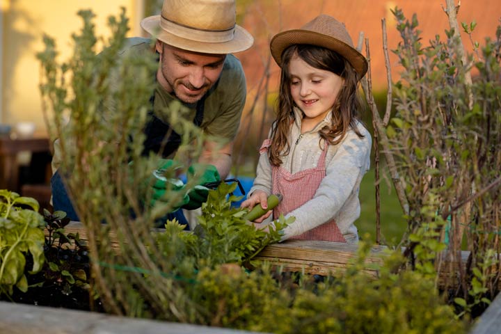 Kräuter als Erlebnis für die Sinne