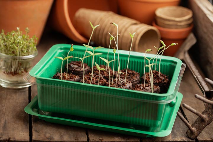 Veränderung der Temperaturbedürfnisse