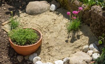 Sandarium als Nisthilfe für Wildbienen und andere Bodenbrüter