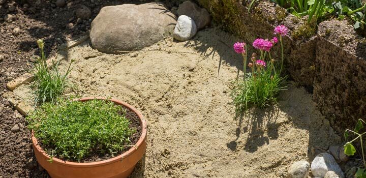 Sandarium als Nisthilfe für Wildbienen und andere Bodenbrüter