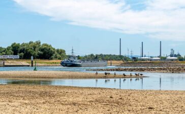 Niedrigwasser und seine Auswirkungen auf die Wirtschaft
