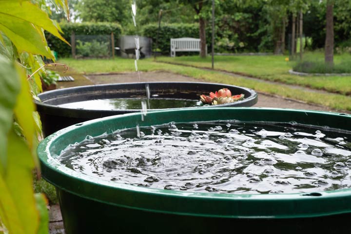 Regenwasser für die Bewässerung sammeln