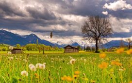 Auswirkungen von Gewittern auf Pollenallergien